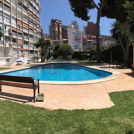 Albatros Apartment Benidorm Eksteriør bilde